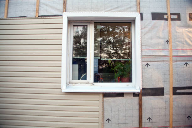 Best Residential Vinyl Siding Installation  in Lakeview, OH