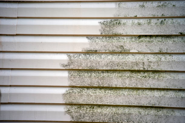 Best Residential Vinyl Siding Installation  in Lakeview, OH
