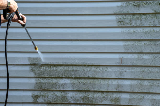 Best Insulated Siding Installation  in Lakeview, OH