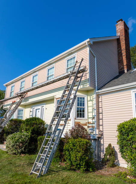 Best Custom Trim and Detailing for Siding  in Lakeview, OH